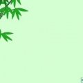 �ػ�С�������T(m��n)ȫ�׷���(w��)