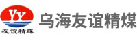 烏海市友誼精煤有限責任公司
